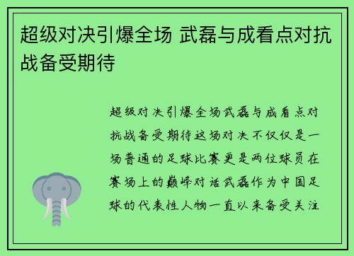 超级对决引爆全场 武磊与成看点对抗战备受期待